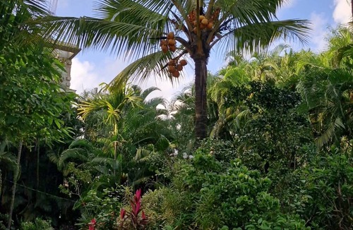 Palolem House | Janki's hideout Nature & Peaceful vibe – for people seeking relaxation and calm.