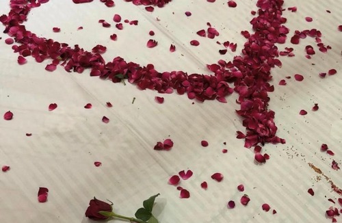 Hisar Hotel | Jk hotel