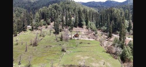 Pahalgam House | Jungle Bungalow