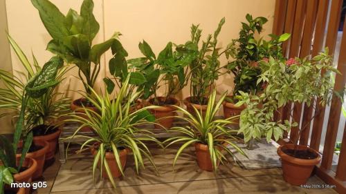 Nerul House | Keshvas Home Stay