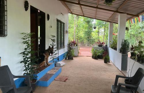 Devrukh House | Kosha - Jungle Home
