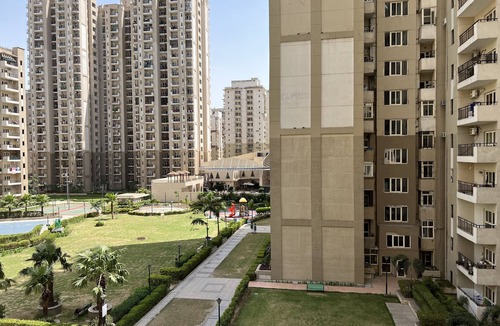 Noida Apartment | Luxury studio