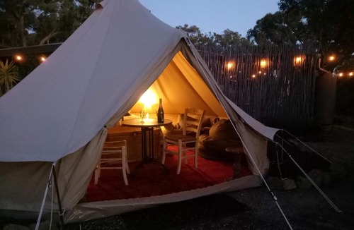 New Gisborne Other | Macedon Ranges Glamping with kangaroos - Tent