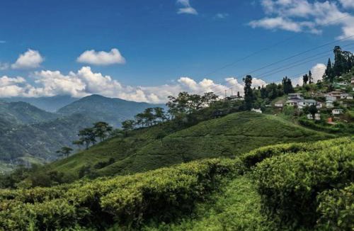Darjeeling House | Mim Tea Estate Residency A 1920 Heritage Darjeeling Tea Garden Home