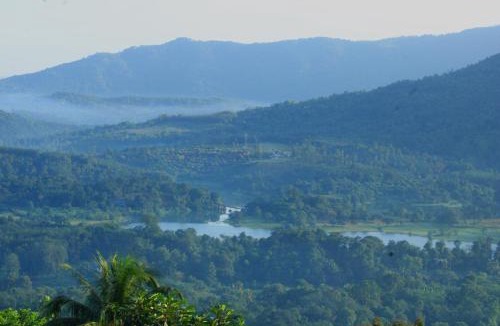 Todupulai Hotel | Mist Farm Resort