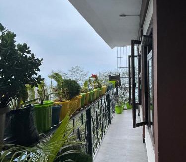 Rishop House | Mountain View Hill Side Homestay Kalimpong, Between Silk Route - Deolo Park - Ramdhura