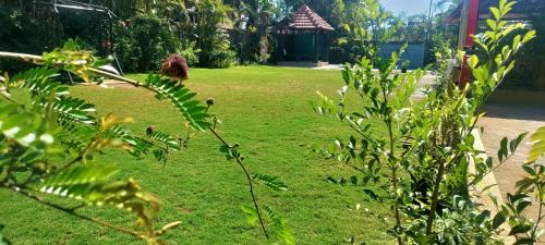 Lonavala Hotel | Mountview Resort