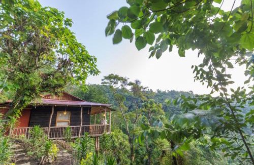 Mangan Resort | Munlom Nature Resort