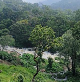 Udumbanchola Hotel | Munnar Gate Residency
