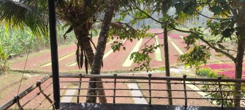 Thiruvananthapuram Villa | Murari
