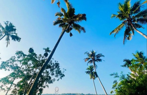 Chirayinkil Cottage | Native Retreats Varkala