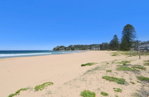 Avoca Beach Apartment | Oceanside