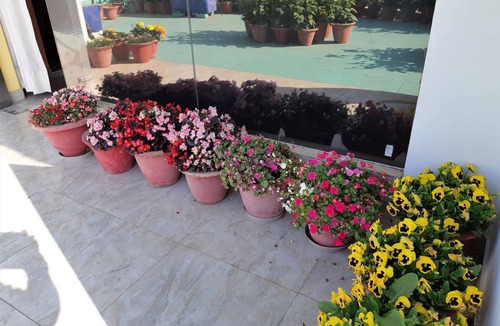 Gomti Nagar Apartment | "One BHK Deluxe Suite SA2" by Interhome