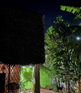 Kalapettai House | Open house