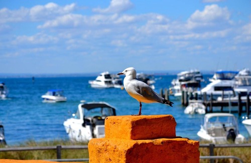 Warwick Bed & Breakfast | Palms Bed & Breakfast