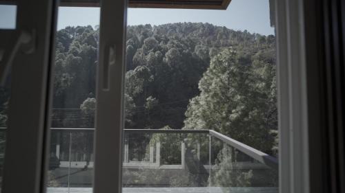 Kasauli Hotel | Pine Needles kasauli
