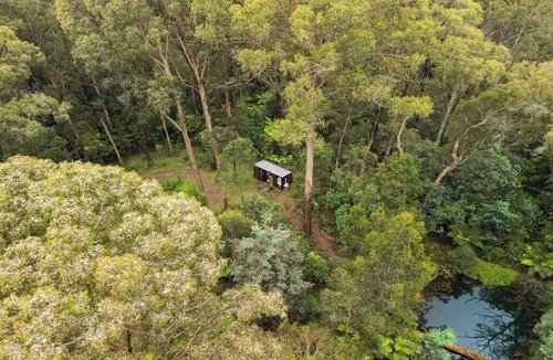Toolangi House | Quantum Field by Tiny Away