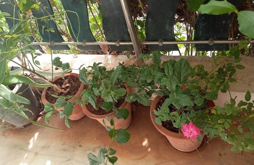 Bhuj Apartment | Raina's Home