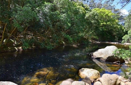 Upper Kangaroo River House | Rainforest River Retreat - Kangaroo Valley