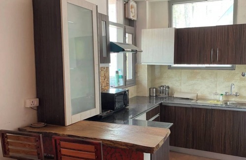 Kumarhatti Apartment | RusticPines 3 Valley View 1BHK Solan, WiFi,Parking, Homestay, Workation Ready