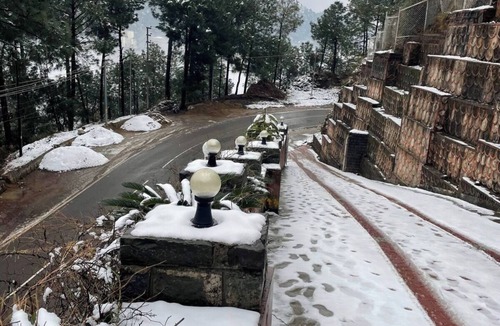 Kumarhatti Apartment | RusticPines 3 Valley View 1BHK Solan, WiFi,Parking, Homestay, Workation Ready