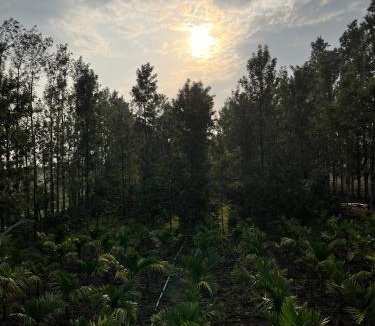 Piriyapatna Apartment | S R Retreat farm home stay