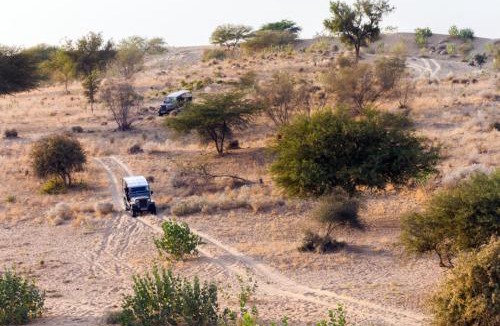 Dechu Hotel | Samsara Desert Camp and Resort