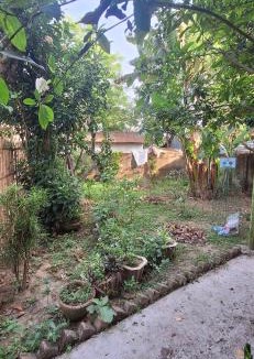 Mayapur Apartment | Saraswati Kunj