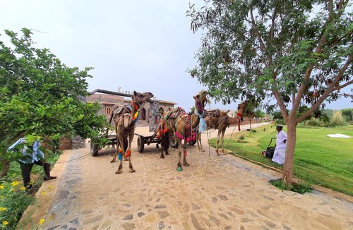 Sariska Hotel | Sariska Kasba - A Village Resort
