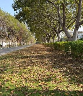 Jaypee Greens Apartment | Serenity- A place to relax and rejuvenate