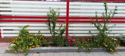 Udupi House | Shree Laxmi Home Stay