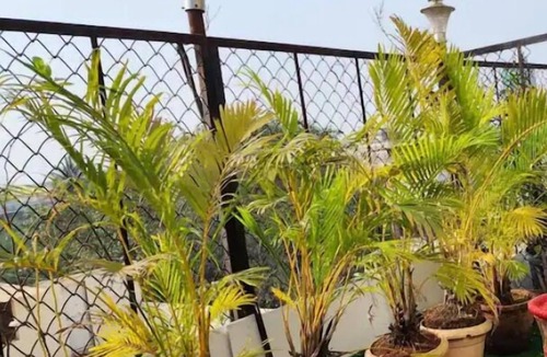 Marine Lines Cabin | Sky Studio Classy place view of Mumbai in Heart of city and tourist place.