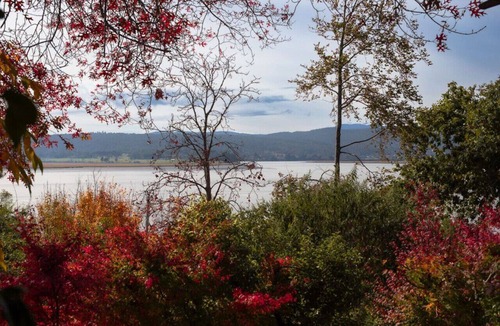 Rosevears House | Stella Rose Cottage Enchanting Riverfront Retreat