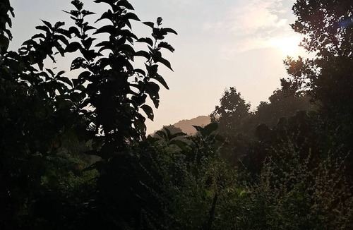 Arambol Apartment | Studio Peaceful Path R5 Couple Stay