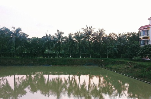 Gazipur District Hotel | Sukh Sagar Resort