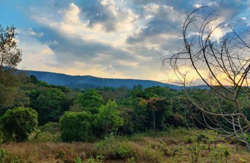 Kudrasthe Villa | Tayra - The Glass Villa
