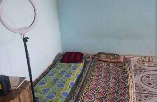 Junnar Other | Tent City Malshej Junnar Agro Tourism & Farm