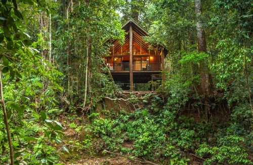 Tarzali Cabin | The Canopy Rainforest Treehouses & Wildlife Sanctuary