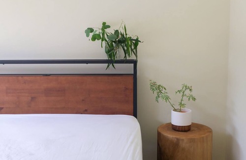Eildon House | The Cedar house