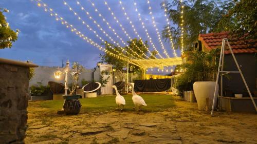 Village Hokra Hotel | The Promise Land - Nature Retreat