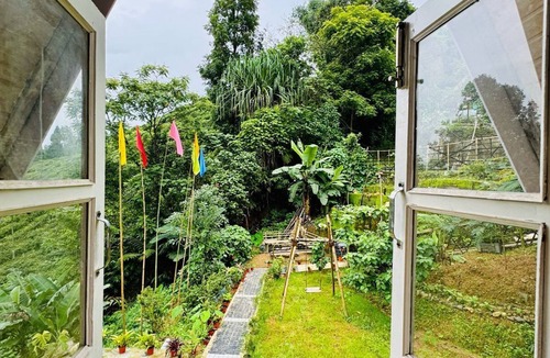 Darjeeling Cottage | The Tea Tribe Stay - Offbeat Darjeeling