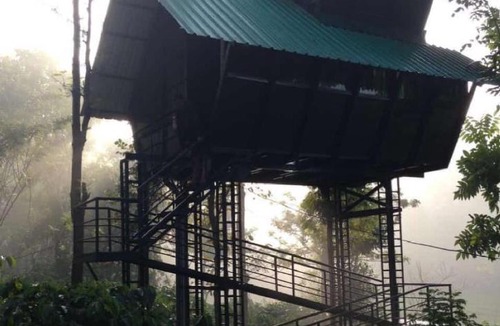 Sulthan Bathery Resort | Tree House Wayanad