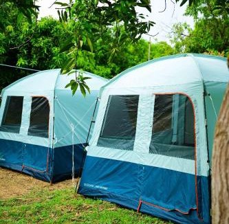 Srikalahasti Other | Wildtentadventure
