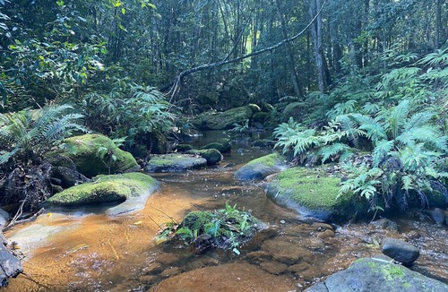 Grose Vale Cabin | Willow Cottage @ Hidden Valley Retreat Cottages