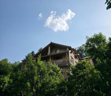 Manali House | Zankhrpas A Himalayan Home - Manali
