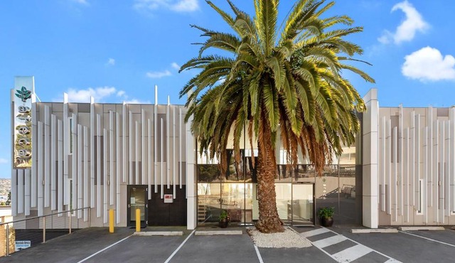 Areca Launceston in Launceston