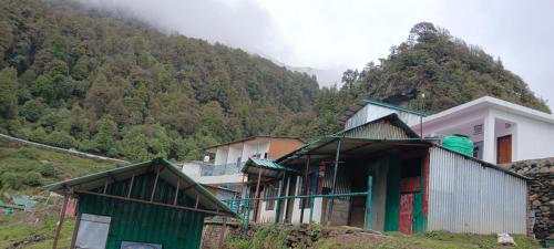Barham kamal in Chopta