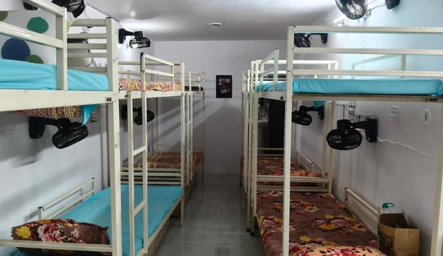 Bunkstay hostel
