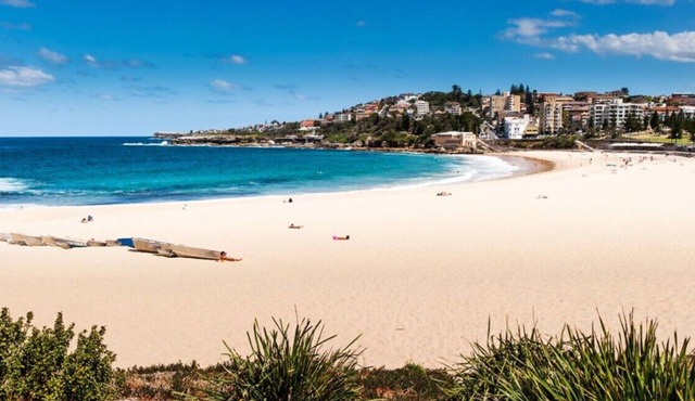 Coogee Beach Comfort