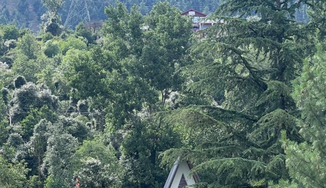 Countryside forest village in Kūd
